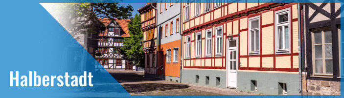 Nachhilfelehrer:in in Halberstadt