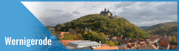 Nachhilfelehrer:in in Wernigerode